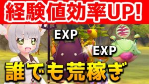 【ラグオリ】上級者はみんなやってる！経験値の稼ぎ方【ラグナロクオリジン/Ragnarok Origin】