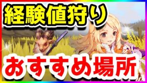 【ラグオリ】最新レベル狩場まとめ【ラグナロクオリジン/Ragnarok Origin】