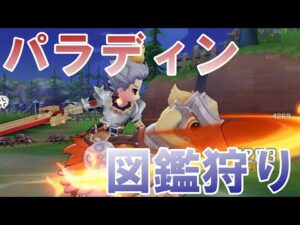 《ラグオリ》パラディン/図鑑狩り運用について《Chaos》