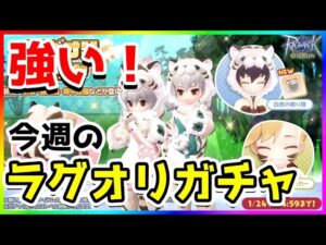 【ラグオリ】今週のガチャ 白虎の着ぐるみは引くべき？【ラグナロクオリジン/Ragnarok Origin】