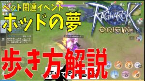 【ラグオリ】ペット関連イベント「ホッドの夢」について解説します！週の報酬上限はきまってるので毎日張り付く必要はないぞ！【Ragnarok Origin】