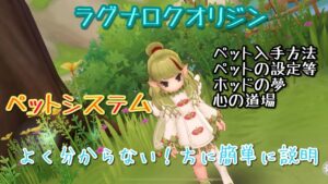 【ラグオリ】ペットシステム。よく分からないという方に簡単に説明【ラグナロクオリジン】