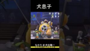 ラグオリ 課金ガチャの結果www #shorts #ラグナロクオリジン #ゲーム実況