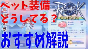 【ラグオリ】ペットの装備どうしてる？各部位のおすすめ付与ステータス教えます！固定値は神ステだぞ！【Ragnarok Origin】