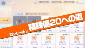 【ラグオリ】沼シリーズ第一弾　精錬値20への道【アクセ精錬】