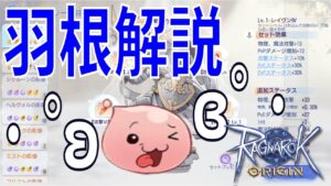 【ラグオリ】羽根システム軽視してない？今最も効率の良いキャラクター強化方法は羽根を鍛えることですよ！♪【Ragnarok Origin】