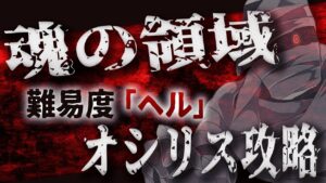 魂の領域ヘルオシリスでトーチの付け方わからんとか言うてる娑婆僧達へウォンビンが人生の明かりの照らし方教えちゃる【ラグオリLoki】