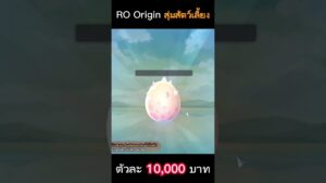RO Origin สุ่มกาชาสัตว์เลี้ยง ตัวละ 10,000 บาท