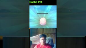 Gacha Pet –  Ragnarok Origin Global