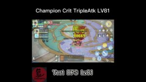 Ragnarok Origin – Champion Crit Triple Lv81Test DPS #RagnarokOrigin #Roo #MMORPG #Ragnarok #Ro #Monk